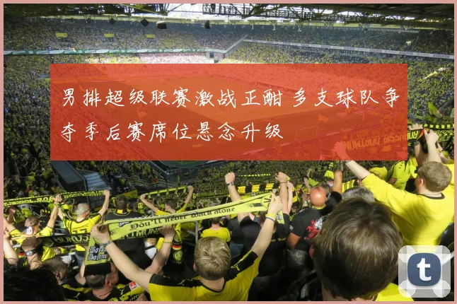 男排超级联赛激战正酣 多支球队争夺季后赛席位悬念升级