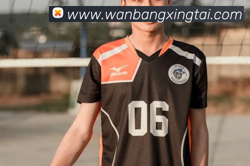 App Interface Preview