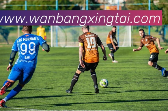 博鱼首页官网APP 封面图